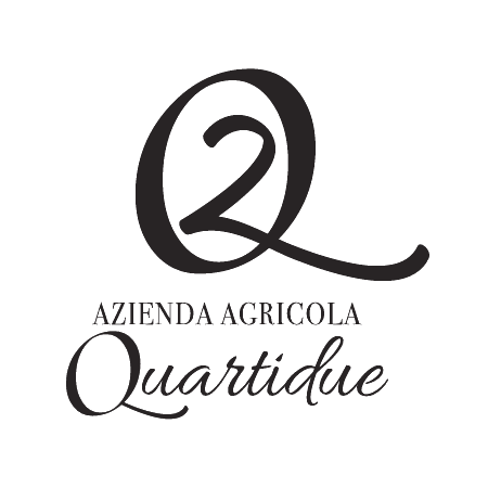 Logo quartidue